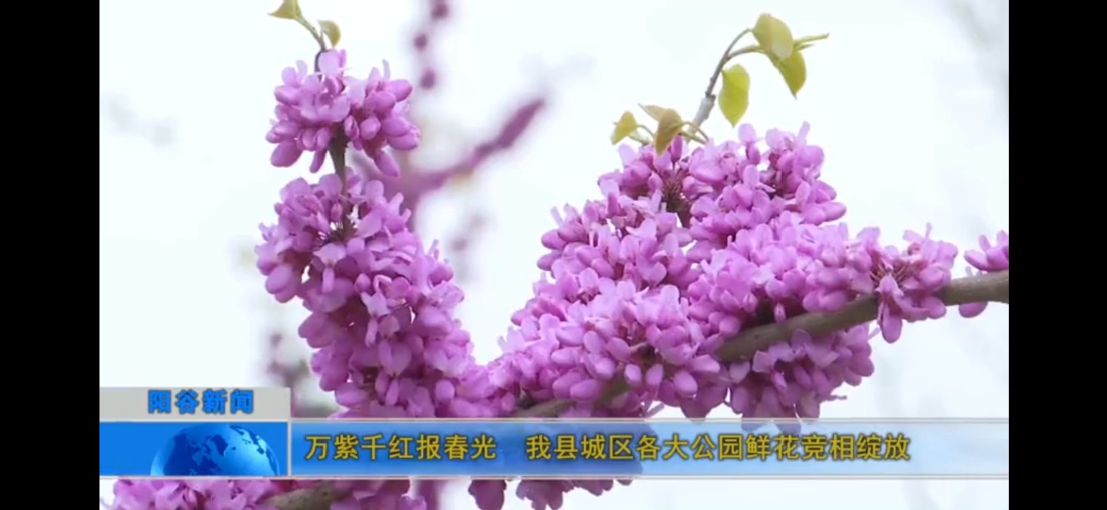 微信图片_202104070923005