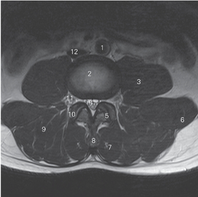 pagenumber_ebook=30,pagenumber_book=21