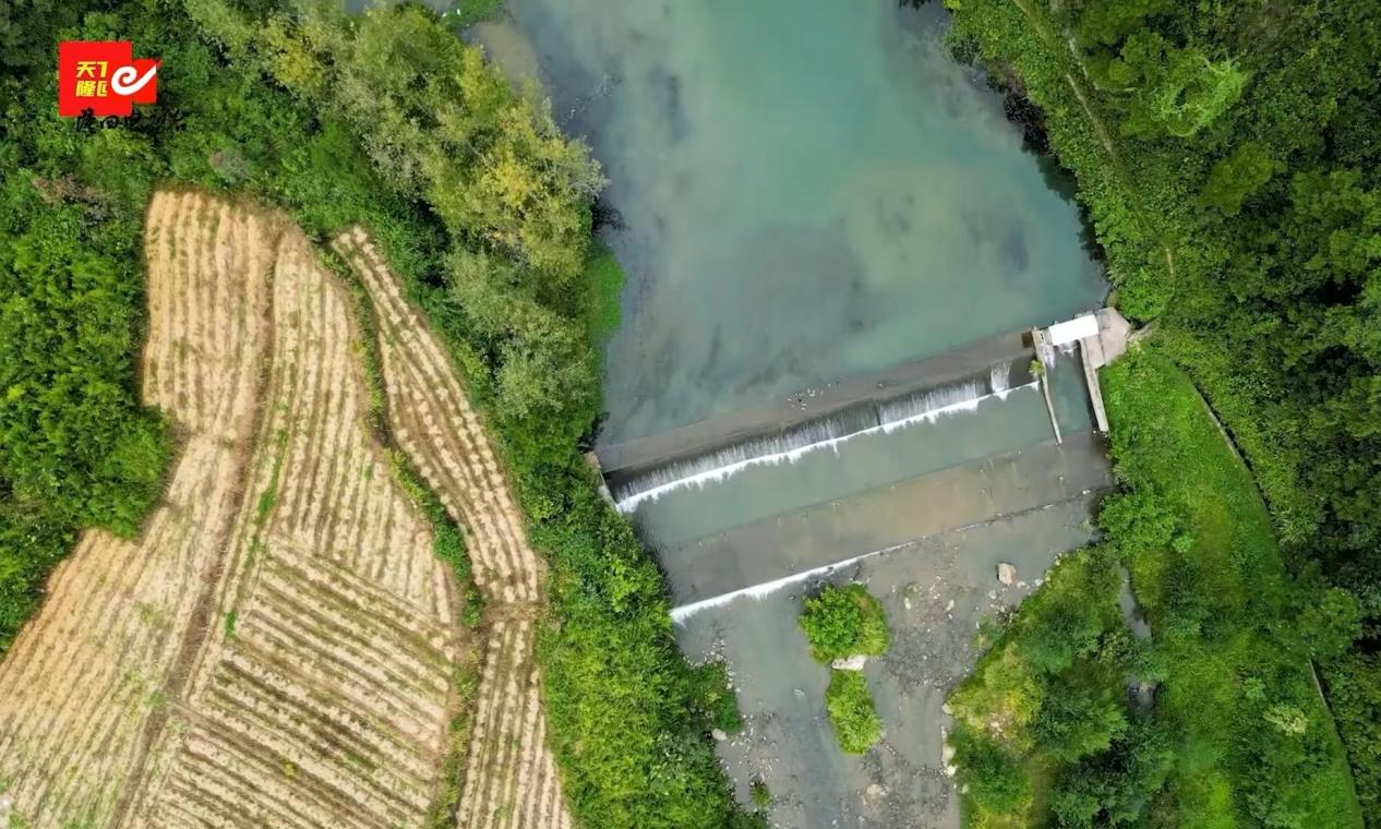 图片39 图片39.png