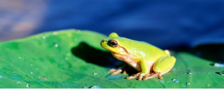 image image.png?v=1770185953980