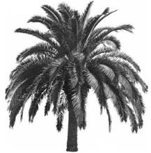 pagenumber_ebook=117,pagenumber_book=117