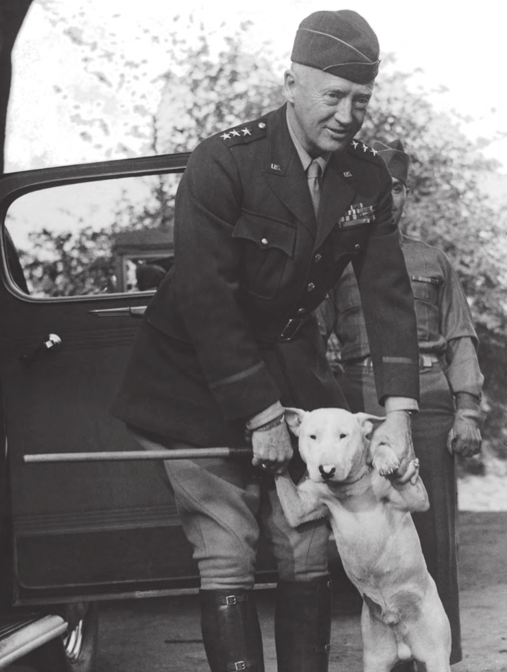 pagenumber_ebook=247,pagenumber_book=247