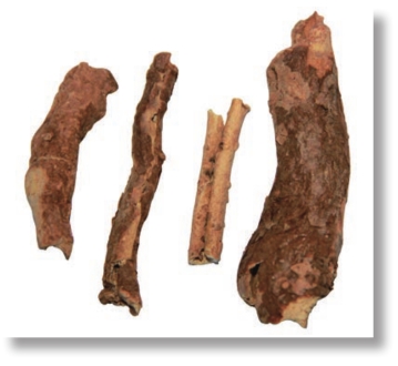 pagenumber_ebook=115,pagenumber_book=102