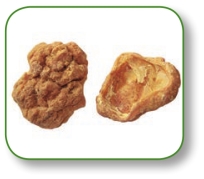 pagenumber_ebook=273,pagenumber_book=260