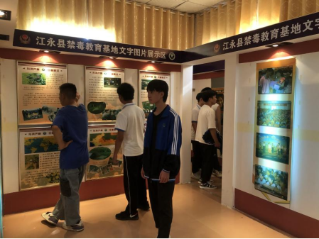 d20f391456a84d1fd5f8932cb3a2172 d20f391456a84d1fd5f8932cb3a2172.png?v=1769050059734