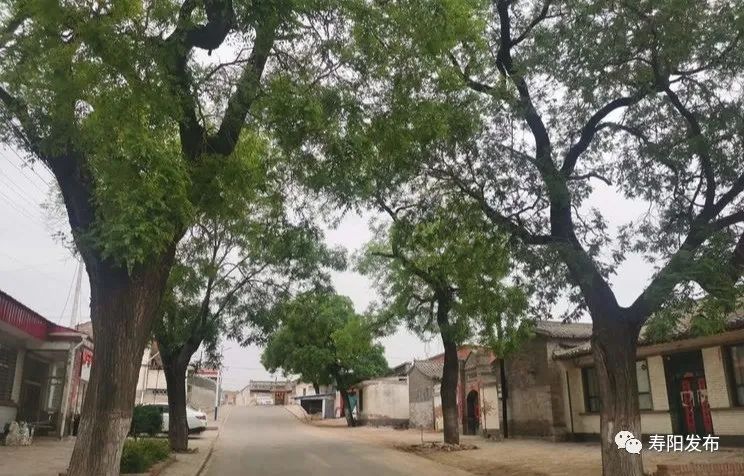 80ea466c52cc3d17f21b7508408faf32_640_wx_fmt=jpeg&wxfrom=5&wx_lazy=1&wx_co=1 80ea466c52cc3d17f21b7508408faf32_640_wx_fmt=jpeg&wxfrom=5&wx_lazy=1&wx_co=1.jpg