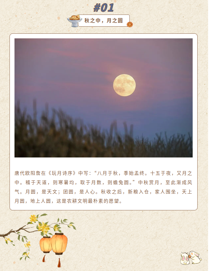 image.png?v=1790286213945