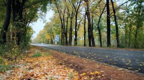 A16.jpg?v=1763520868647