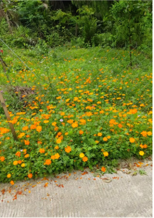 wps_doc_3 wps_doc_3.png