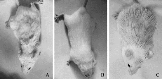 pagenumber_ebook=136,pagenumber_book=128