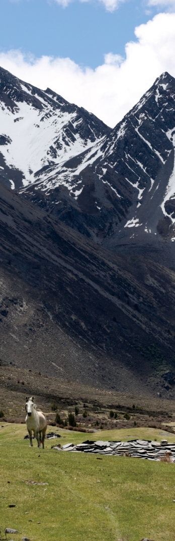 pagenumber_ebook=84,pagenumber_book=72