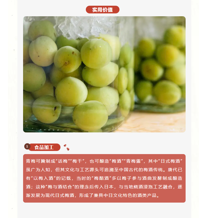 image.png?v=1762124709276