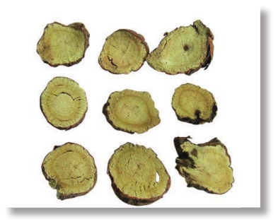 pagenumber_ebook=259,pagenumber_book=246