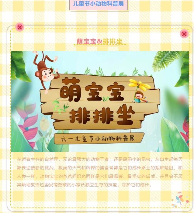 茌平图书馆儿童节活动|萌宝宝排排坐——六一儿童节小动物科普展