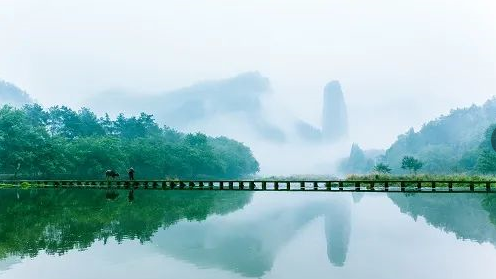 image image.png?v=1762366647791