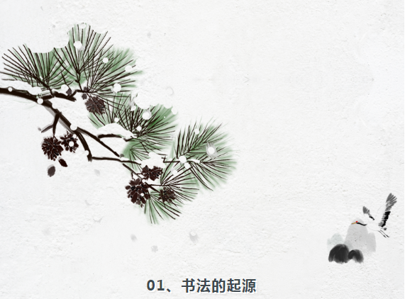 image.png?v=1750237114033