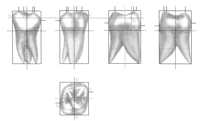 pagenumber_ebook=186,pagenumber_book=177