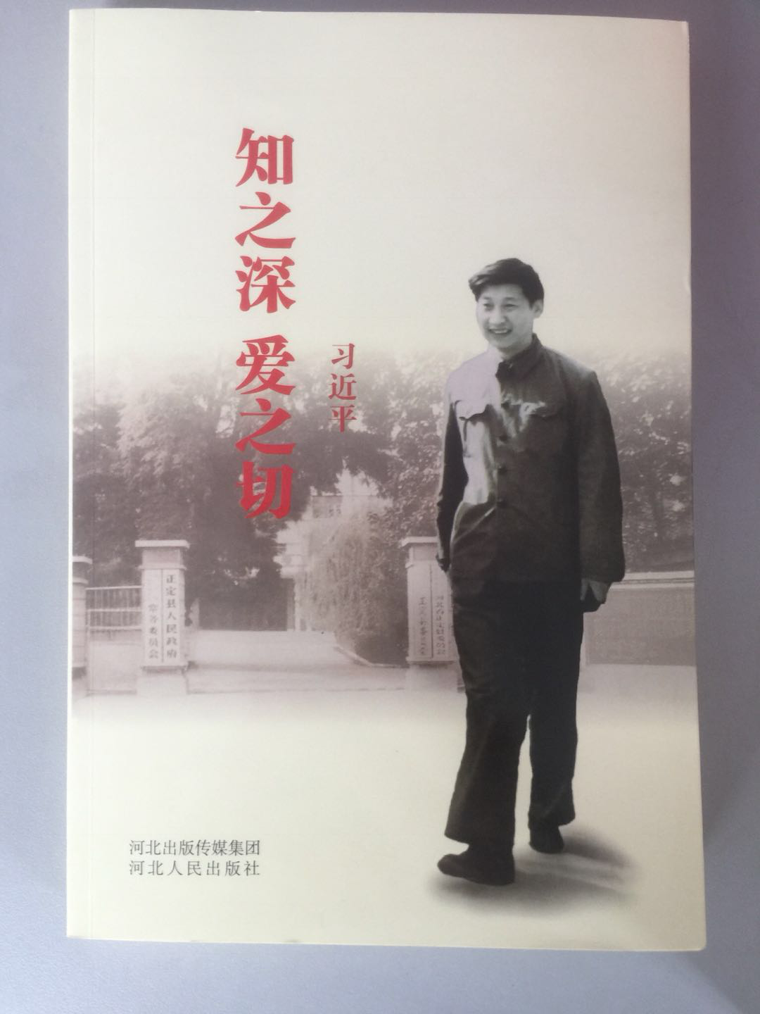 图片2 图片2.png?v=1764963803704