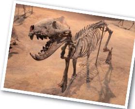 pagenumber_ebook=15,pagenumber_book=4