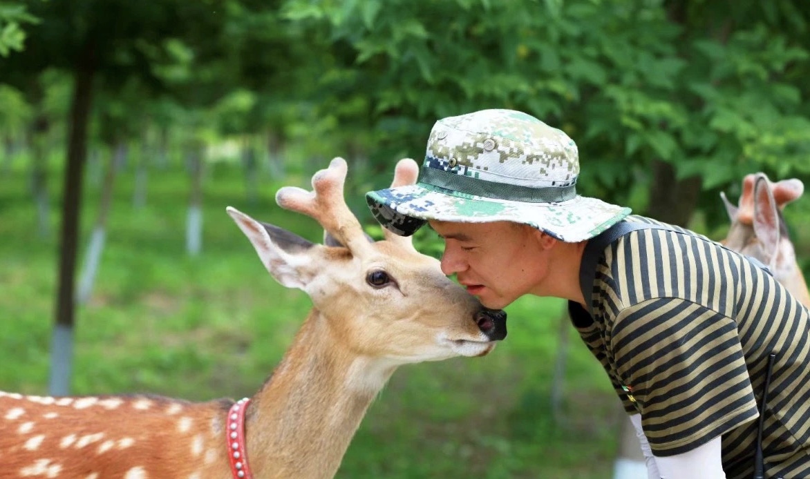 9558a478dbe078105c0bbd64b96185b