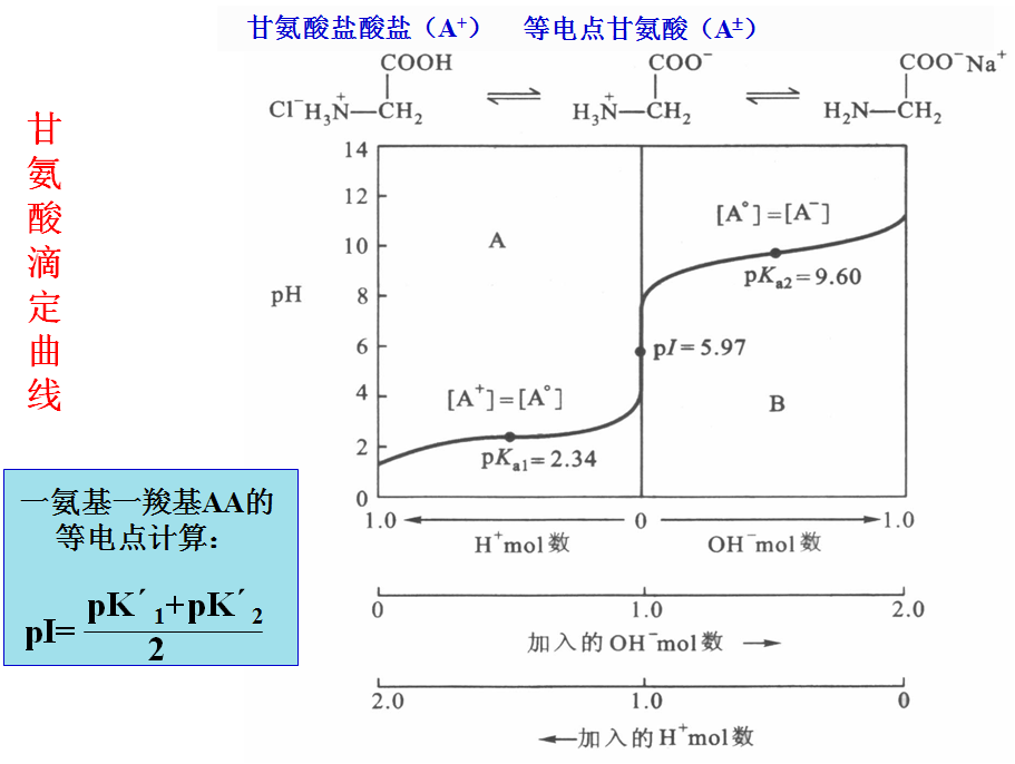 核苷酸的等电点_等点构成_seo2的等电子体