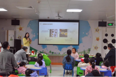 image image.png?v=1772860940756