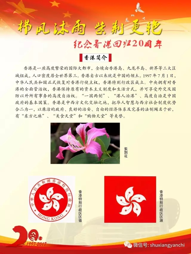 3.webp.jpg?v=1763534244324