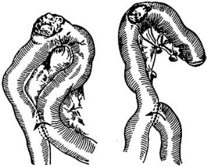 pagenumber_ebook=554,pagenumber_book=539