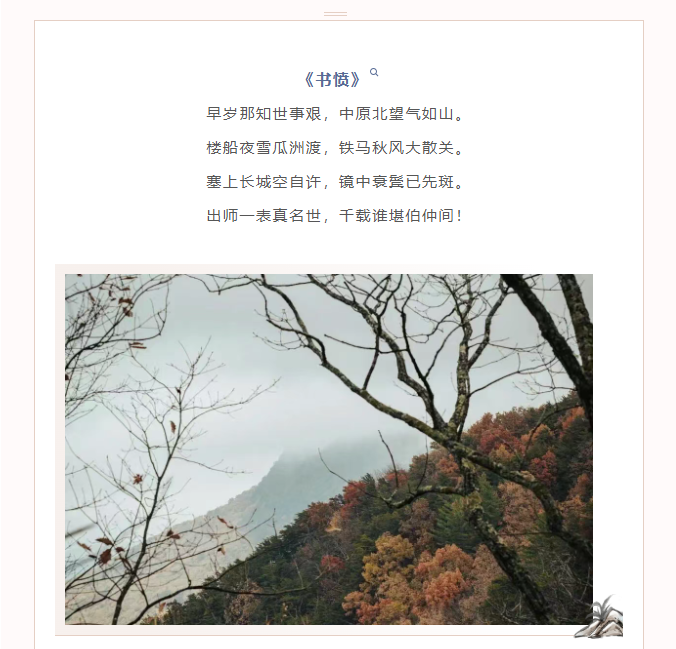 image.png?v=1770178027590