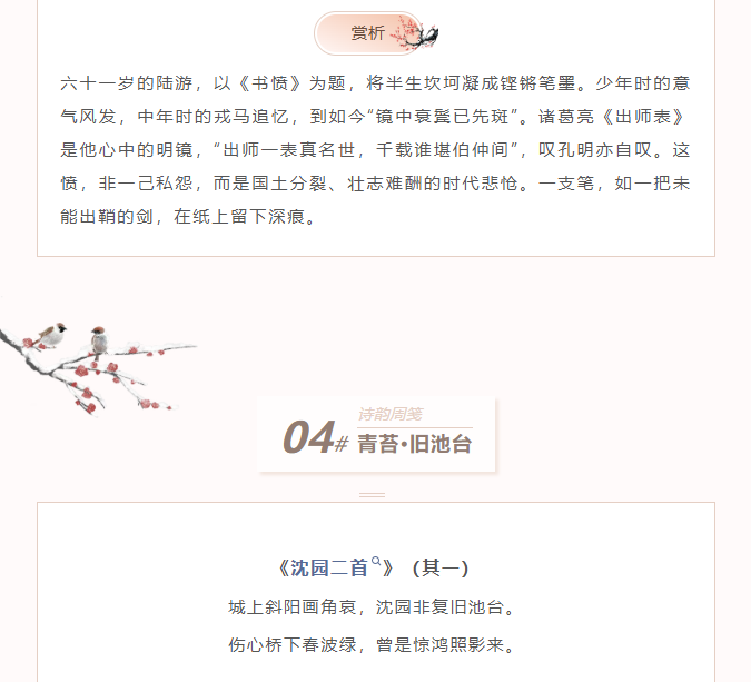 image.png?v=1770178027590