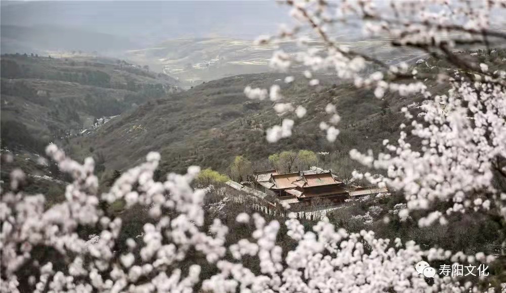 914381125ff00b8881d18f2339f93e7