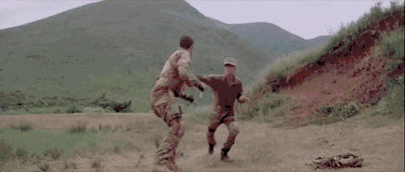 图片37 图片37.png?v=1762272620402