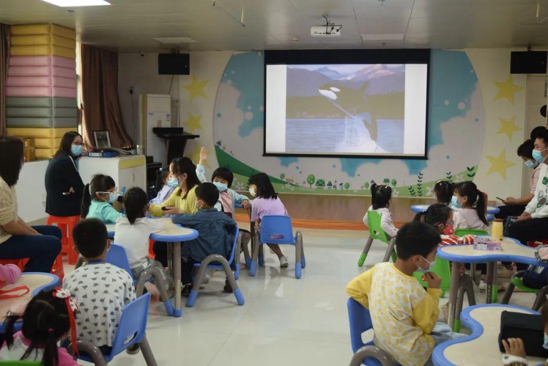 图片3 图片3.jpg?v=1772887681772