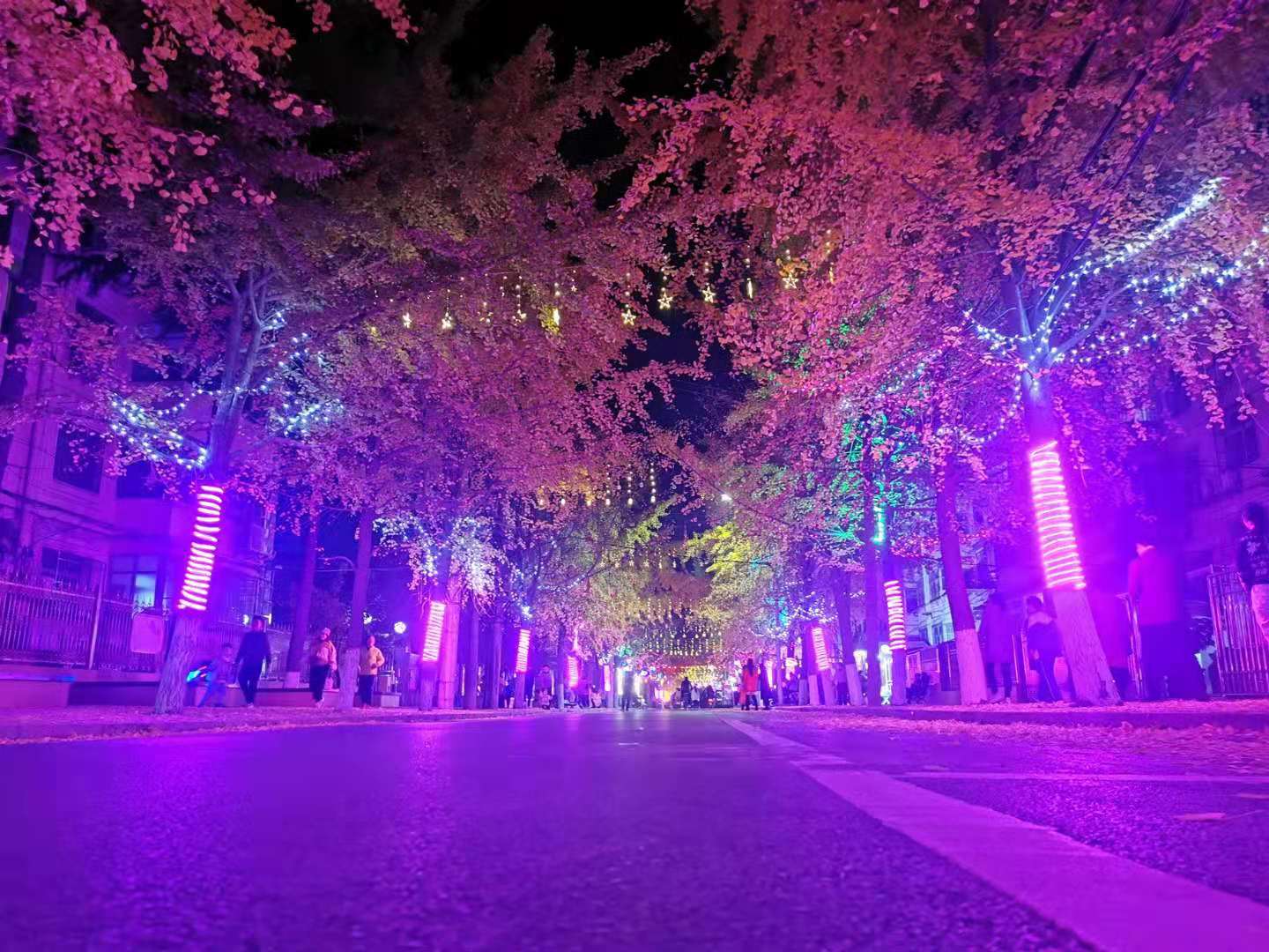 2b55855875c81087f037bfac3119ef1