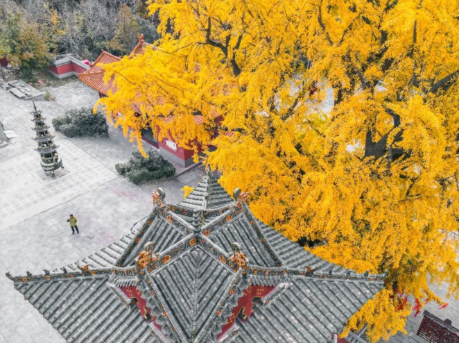 fa83a2c38ce6b7e971a640b715cb67b8png