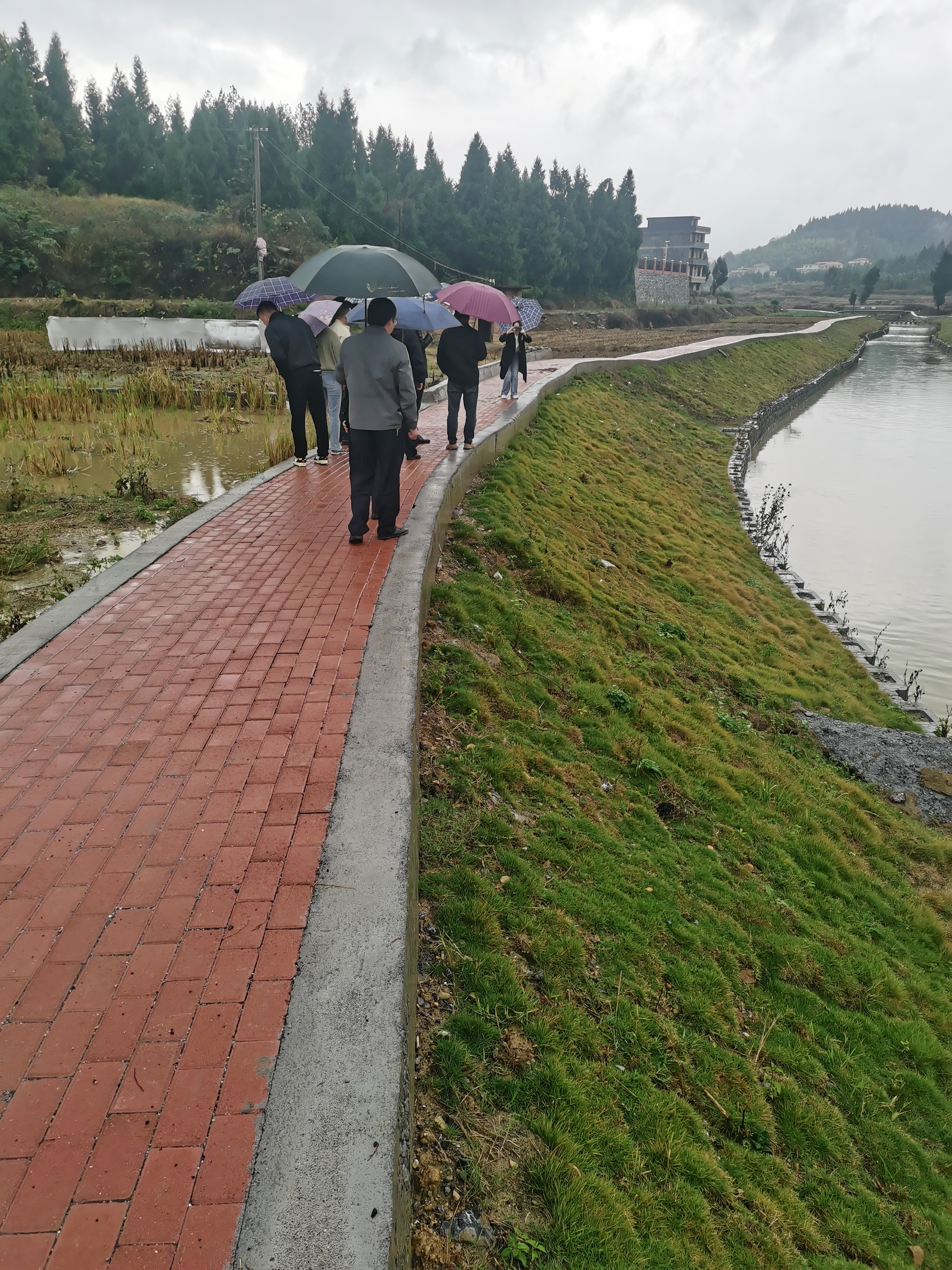 图片19 图片19.jpg