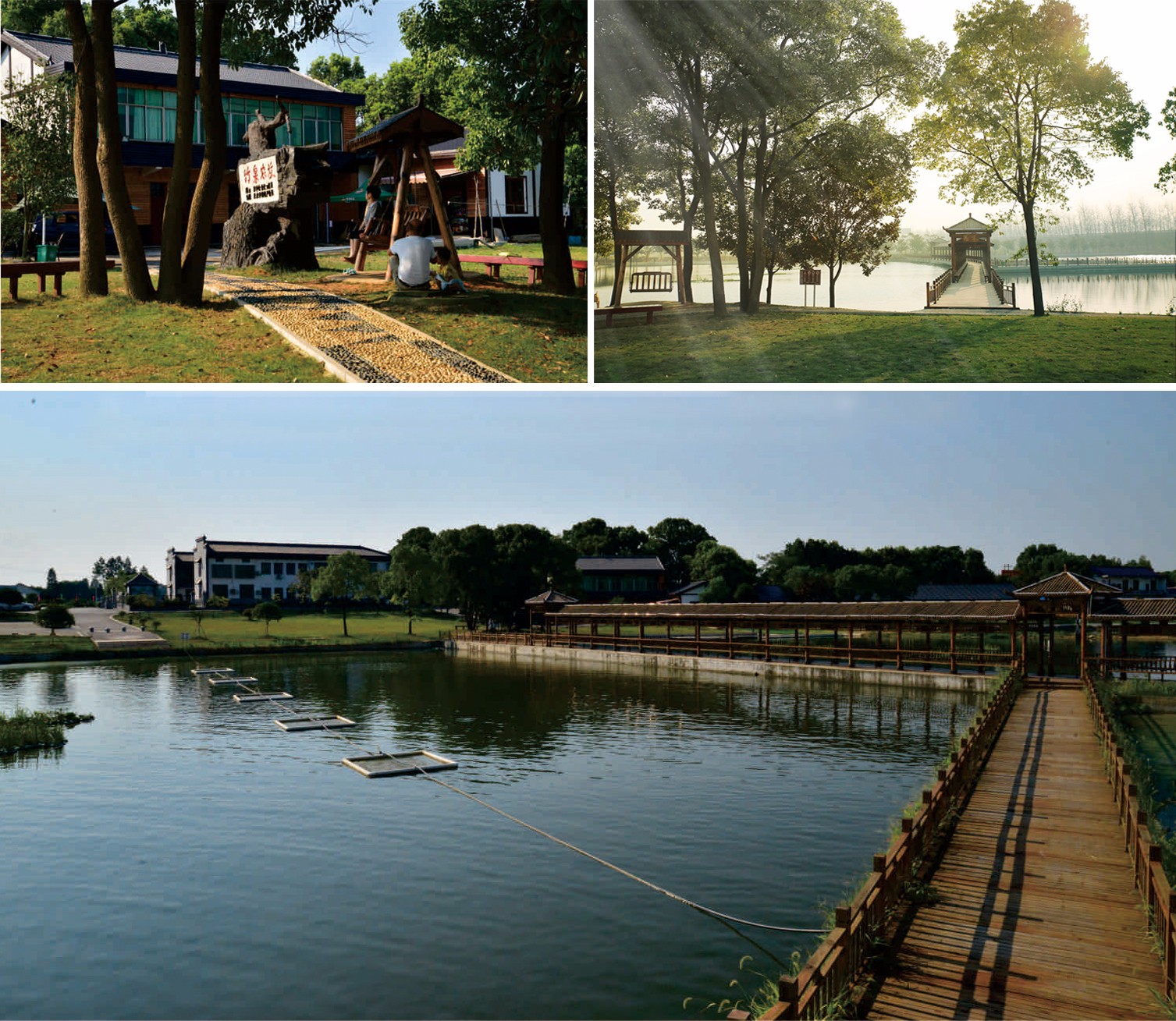 竹泉农牧3 竹泉农牧3.jpg