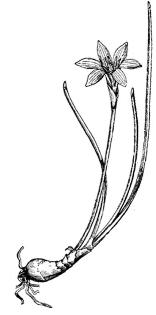 pagenumber_ebook=224,pagenumber_book=224