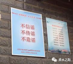 12 12.jpg?v=1765898062475