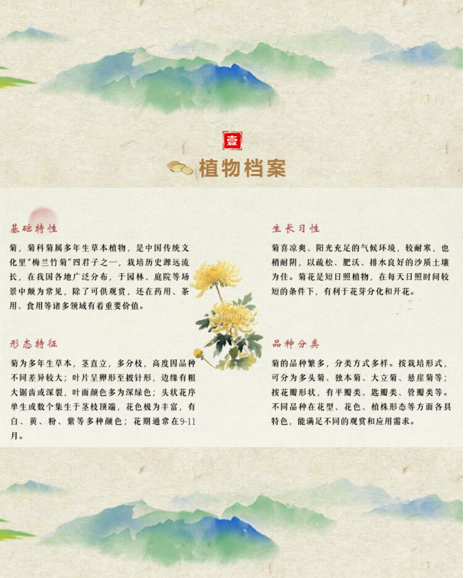 image.png?v=1762100057603