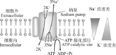pagenumber_ebook=293,pagenumber_book=280