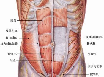 腹肌.jpg