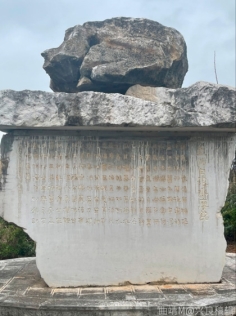 pagenumber_ebook=239,pagenumber_book=230