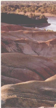 pagenumber_ebook=204,pagenumber_book=196