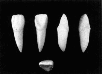 pagenumber_ebook=196,pagenumber_book=187