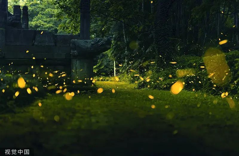 4369312555188963cfff4cb80f6876bb 4369312555188963cfff4cb80f6876bb.jpg