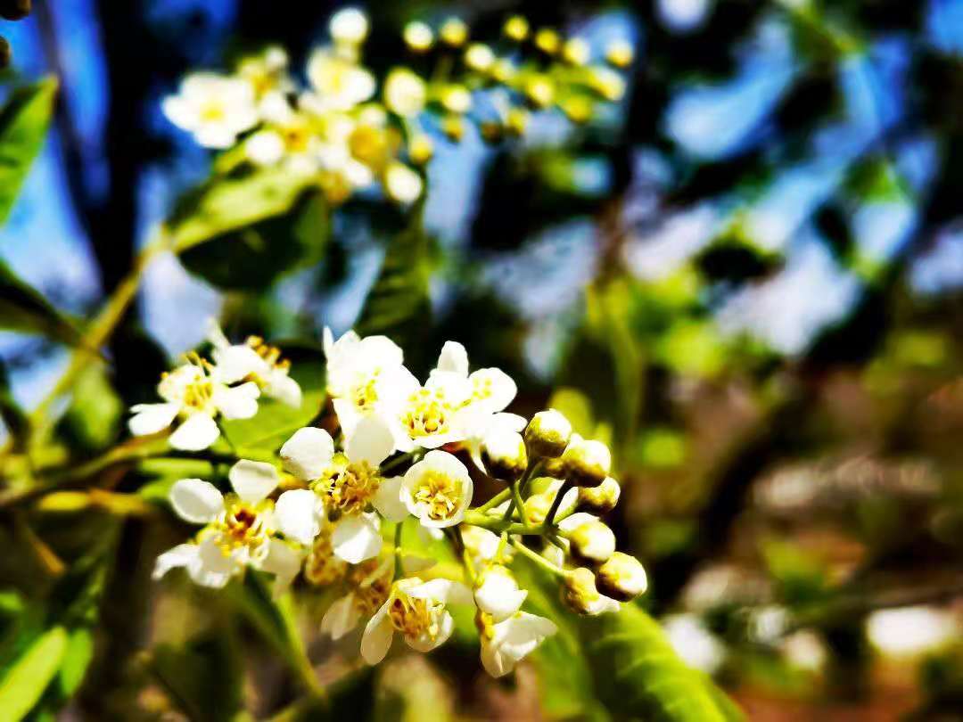 cbe6162e30d9b816a86fdb16493430e cbe6162e30d9b816a86fdb16493430e.jpg