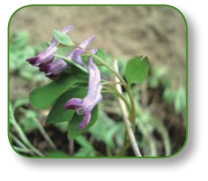 pagenumber_ebook=176,pagenumber_book=163