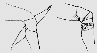 pagenumber_ebook=87,pagenumber_book=74