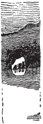 pagenumber_ebook=309,pagenumber_book=301